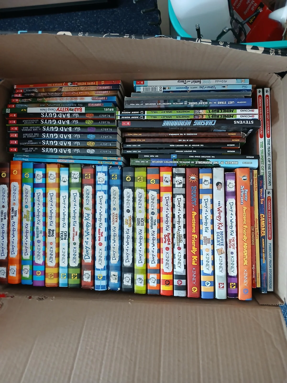 Books arranged on shelves