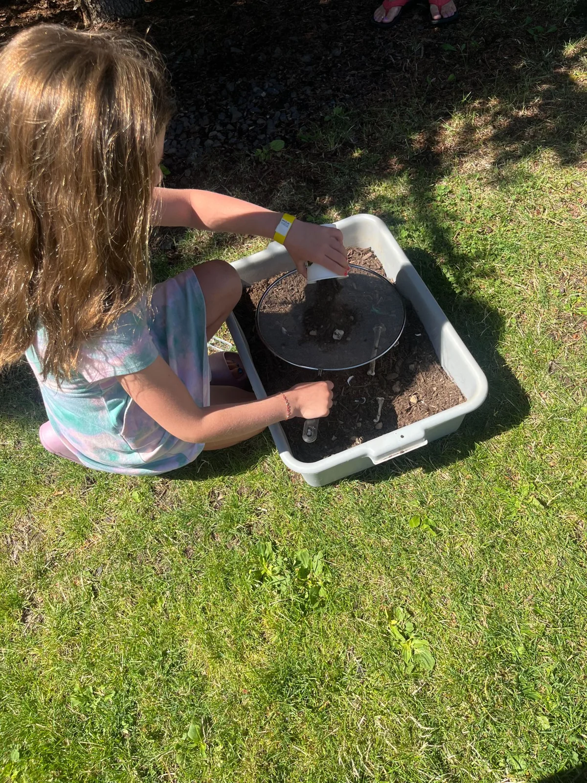 Children sharing a book outdoors